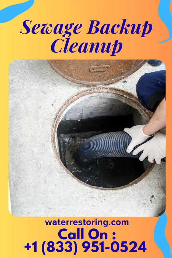 Sewage Backup Cleanup in Pine Prairie, LA